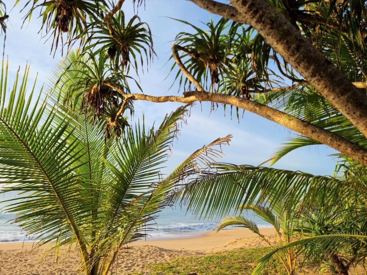 Golden Beach Paradise Tangalle Kültér fotó